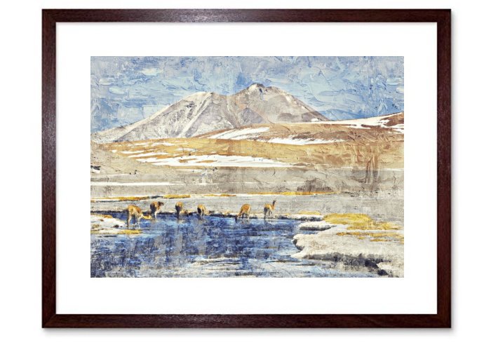 Alpacas At The River